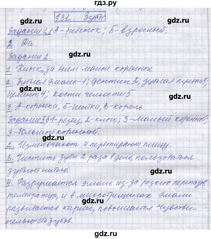 ГДЗ по биологии 9 класс Маш рабочая тетрадь (Драгомилов)  параграф - 31, Решебник