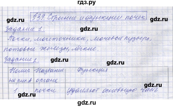 ГДЗ по биологии 9 класс Маш рабочая тетрадь (Драгомилов)  параграф - 39, Решебник