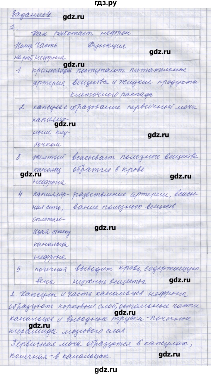 ГДЗ по биологии 9 класс Маш рабочая тетрадь (Драгомилов)  параграф - 39, Решебник