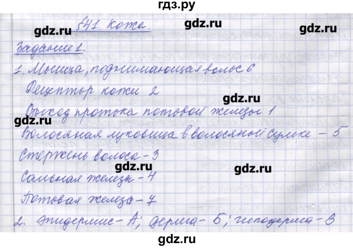 ГДЗ по биологии 9 класс Маш рабочая тетрадь (Драгомилов)  параграф - 41, Решебник