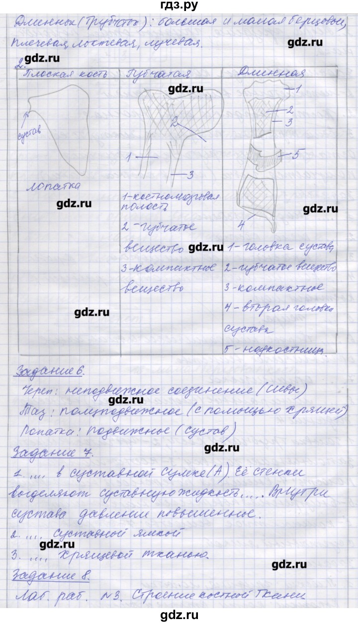 ГДЗ по биологии 9 класс Маш рабочая тетрадь (Драгомилов)  параграф - 6, Решебник