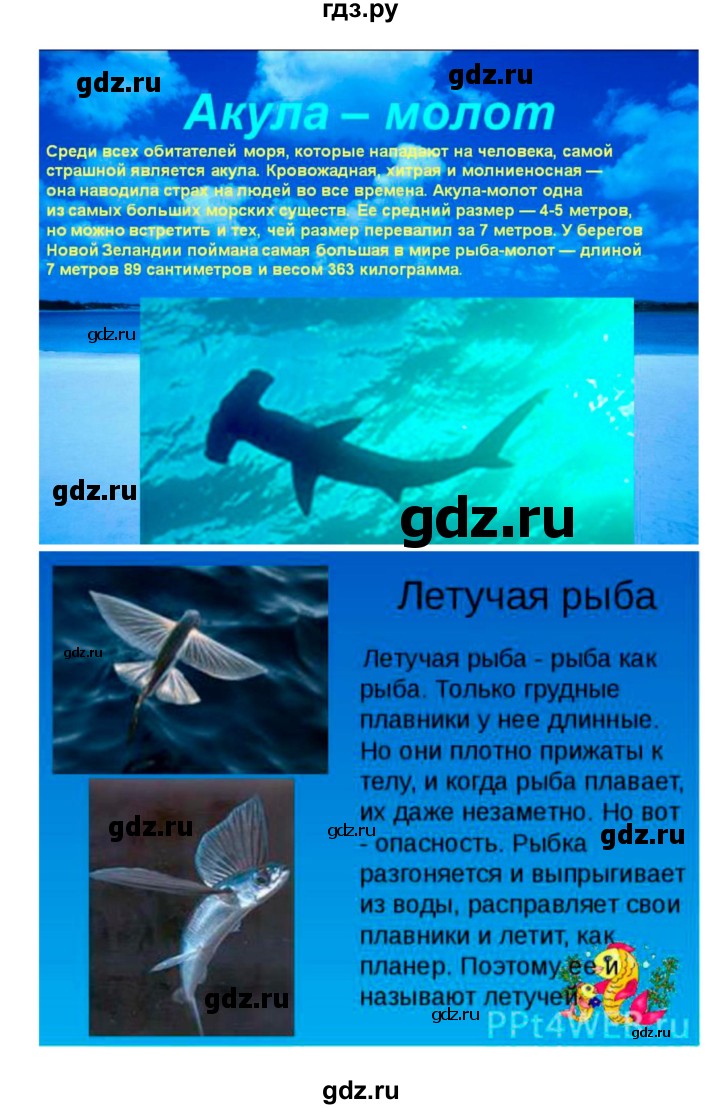 ГДЗ параграф 28 биология 5 класс Плешаков, Введенский