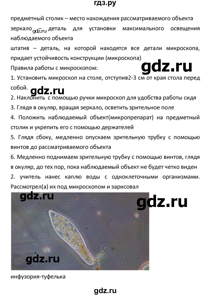 ГДЗ по биологии 5 класс Плешаков   параграф - 5, Решебник №1