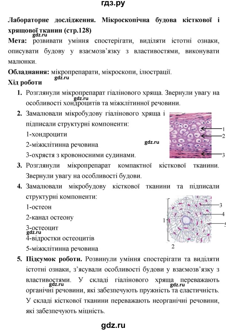 ГДЗ по биологии 8 класс Соболь   лабораторная работа. страница - 128, Решебник