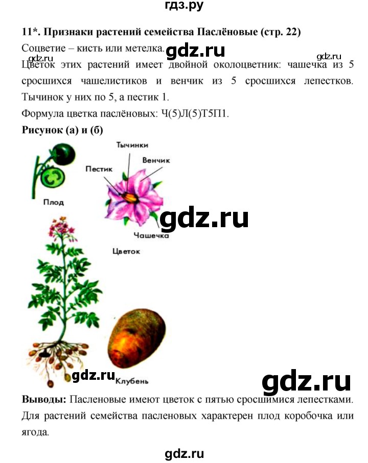 ГДЗ по биологии 7 класс Сухорукова тетрадь-практикум  страница - 22, Решебник