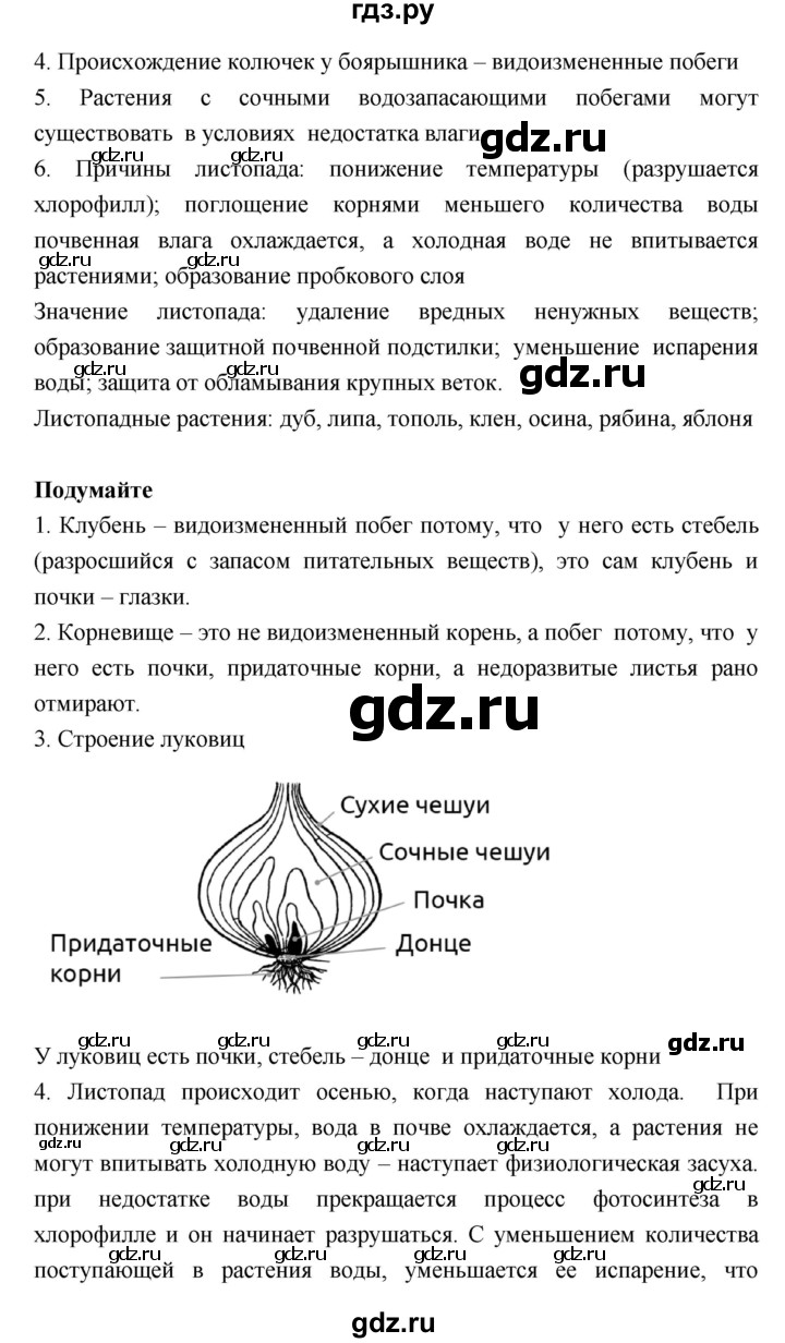 ГДЗ параграф 25 биология 6 класс Исаева, Романова