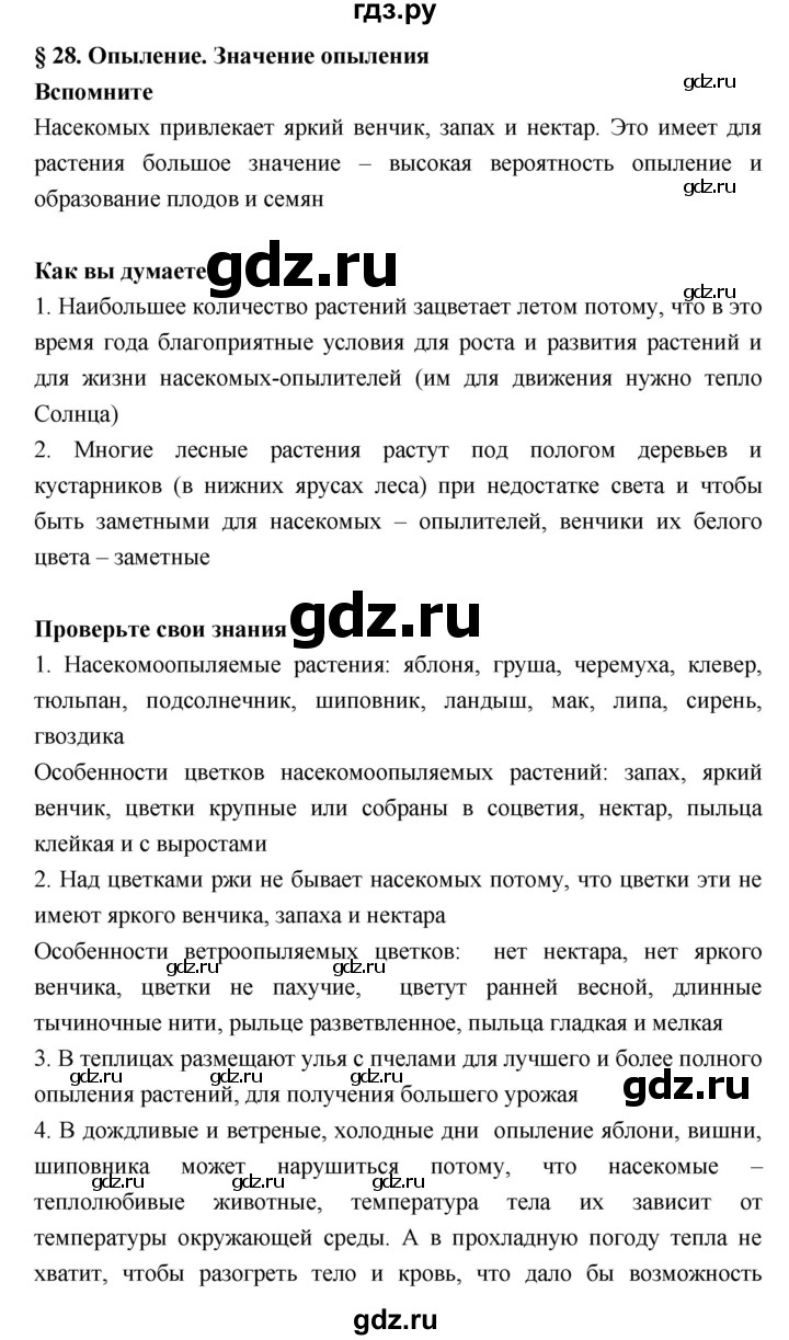 ГДЗ параграф 28 биология 6 класс Исаева, Романова