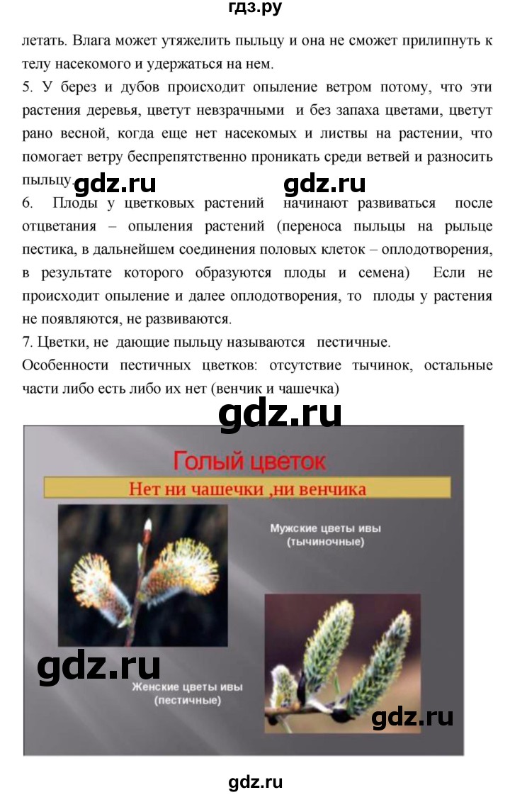 ГДЗ по биологии 6 класс Исаева   параграф - 28, Решебник