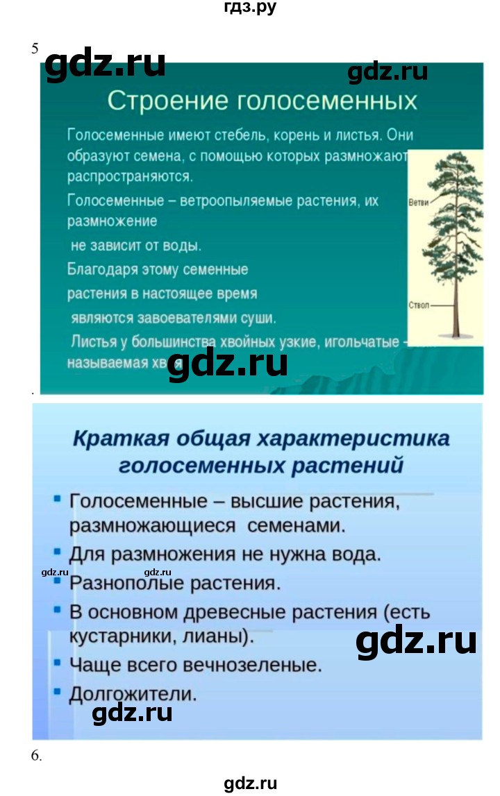 ГДЗ параграф 48 биология 6 класс Исаева, Романова