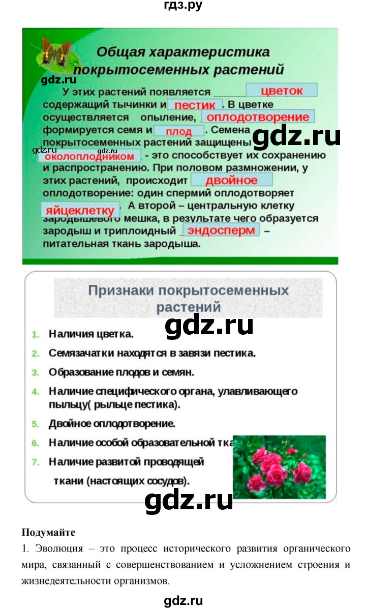 ГДЗ по биологии 6 класс Исаева   параграф - 48, Решебник