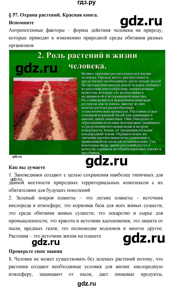 ГДЗ по биологии 6 класс Исаева   параграф - 57, Решебник