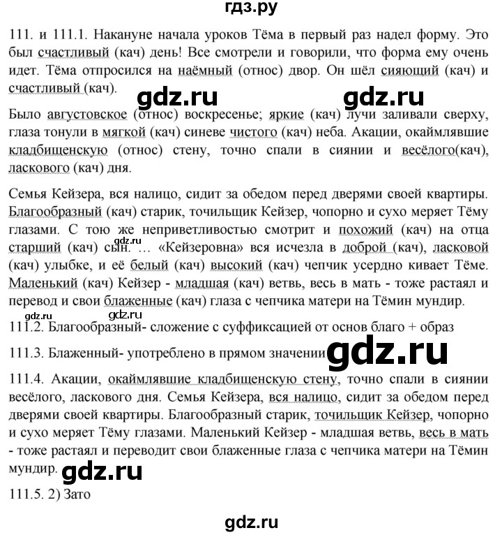 ГДЗ по русскому языку 11 класс Гусарова  Базовый и углубленный уровень упражнение - 111, Решебник к учебнику 2022