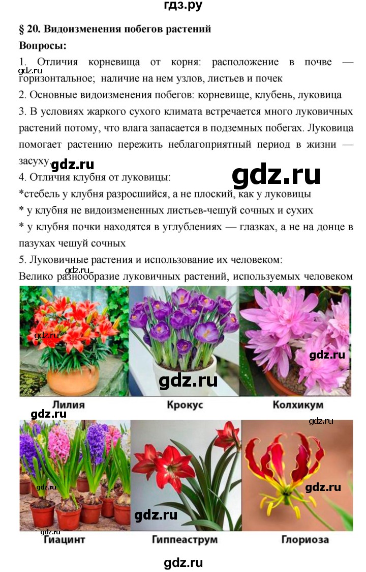 ГДЗ по биологии 7 класс Пономарева   параграф - 20, Решебник 2