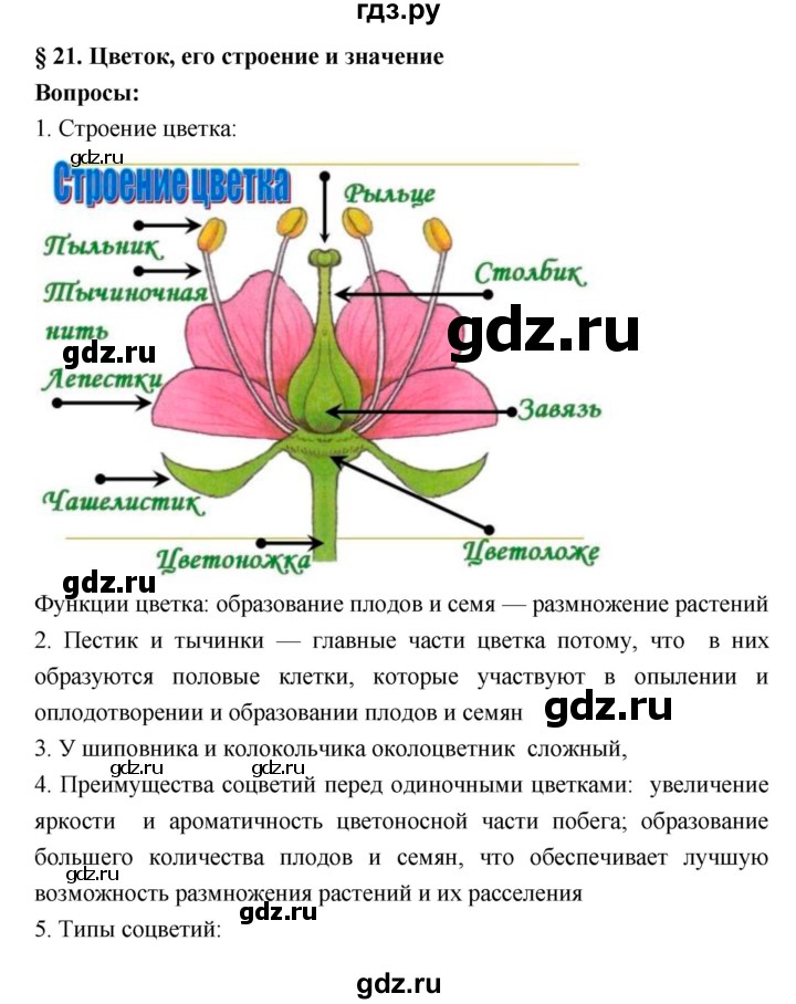 ГДЗ по биологии 7 класс Пономарева   параграф - 21, Решебник 2