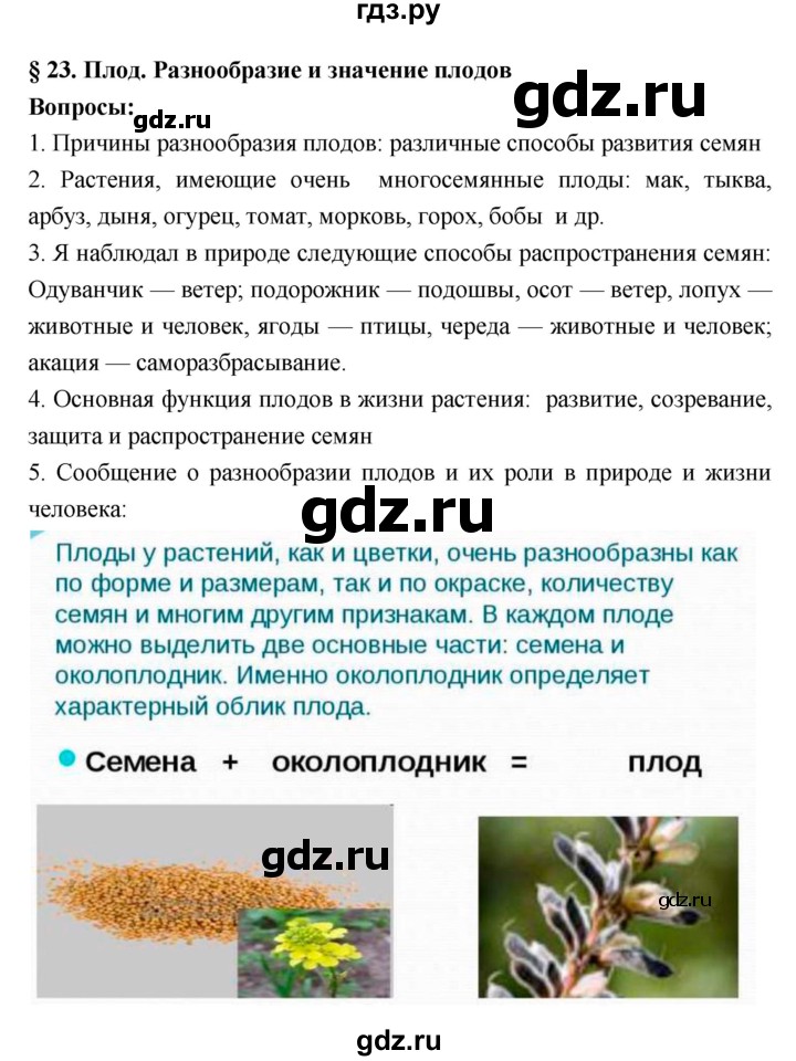 ГДЗ по биологии 7 класс Пономарева   параграф - 23, Решебник 2