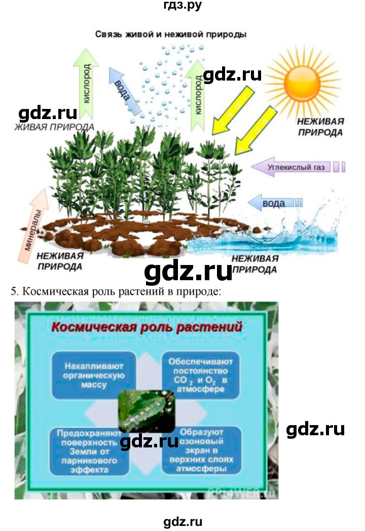 ГДЗ по биологии 7 класс Пономарева   параграф - 27, Решебник 2