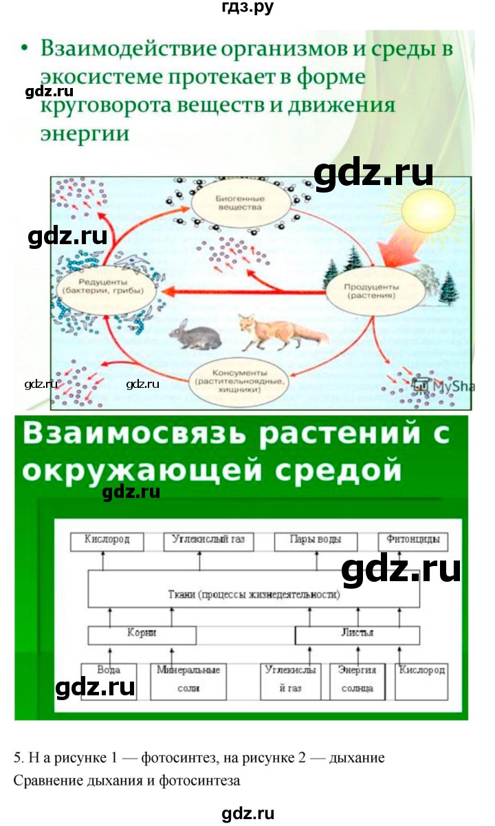 Гдз по фото биология 7 класс