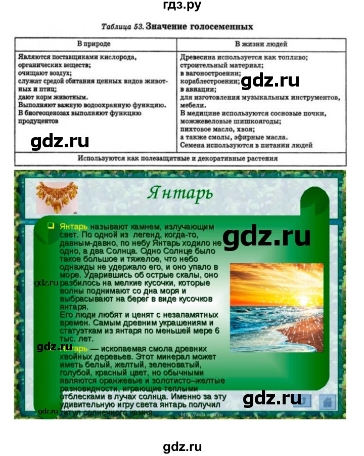 ГДЗ по биологии 7 класс Пономарева   параграф - 40, Решебник 2