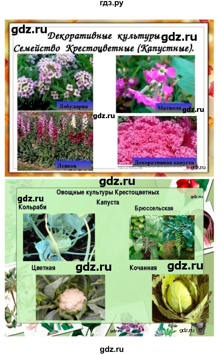 ГДЗ по биологии 7 класс Пономарева   параграф - 42, Решебник 2