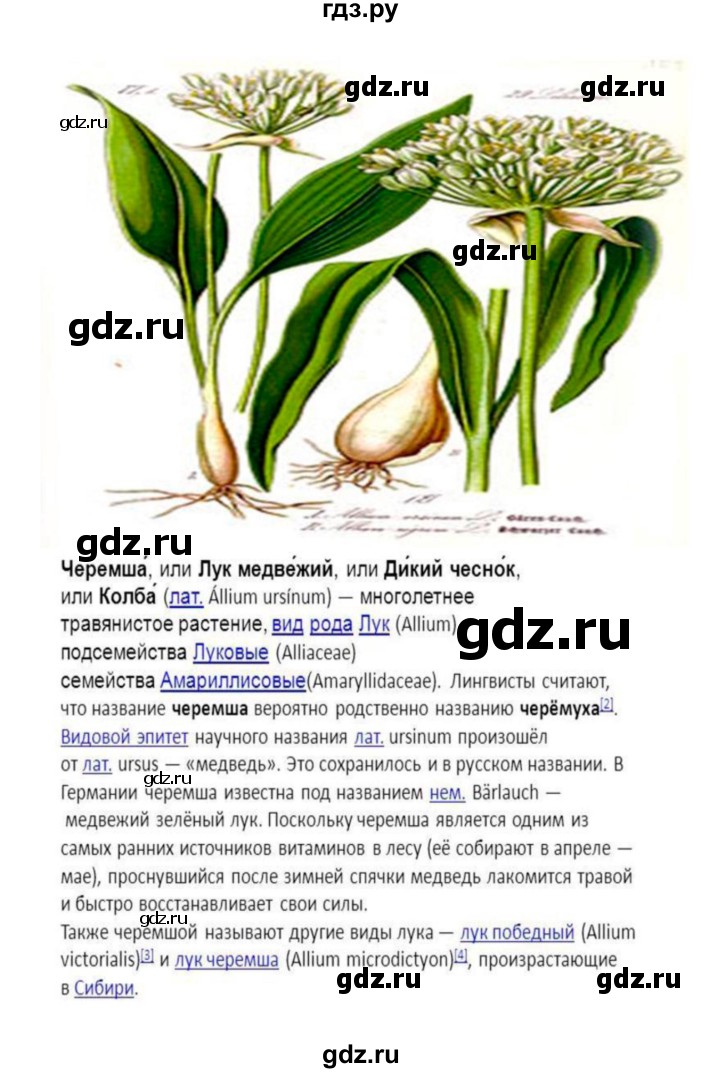 ГДЗ по биологии 7 класс Пономарева   параграф - 43, Решебник 2