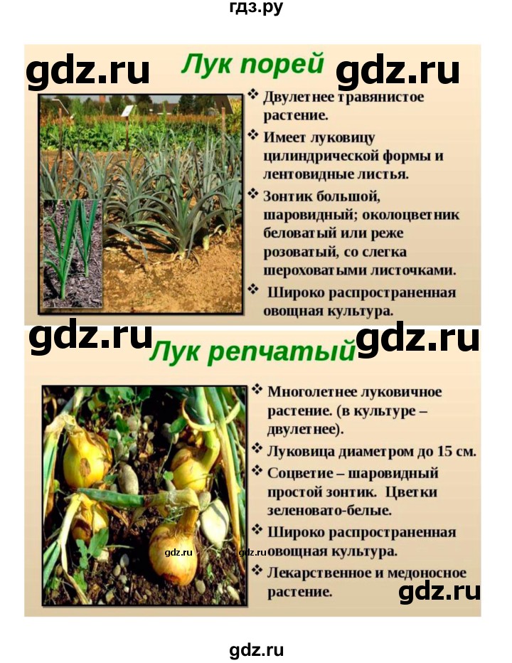 ГДЗ по биологии 7 класс Пономарева   параграф - 43, Решебник 2