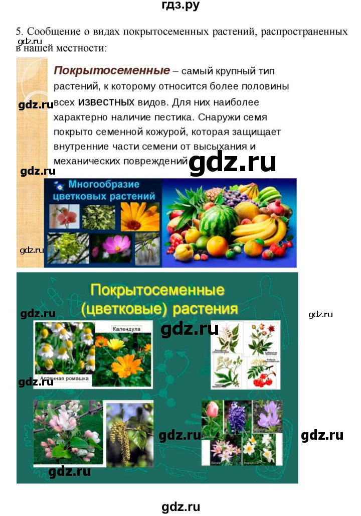 ГДЗ по биологии 7 класс Пономарева   параграф - 45, Решебник 2