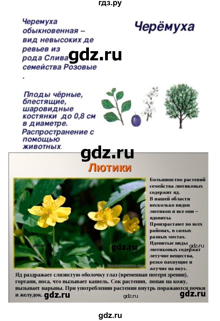 ГДЗ по биологии 7 класс Пономарева   параграф - 45, Решебник 2
