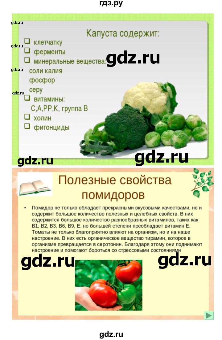 ГДЗ по биологии 7 класс Пономарева   параграф - 47, Решебник 2