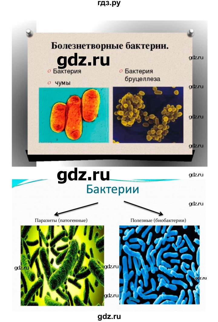 ГДЗ по биологии 7 класс Пономарева   параграф - 49, Решебник 2