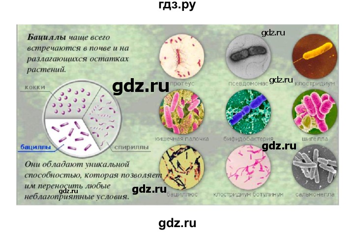 ГДЗ по биологии 7 класс Пономарева   параграф - 49, Решебник 2