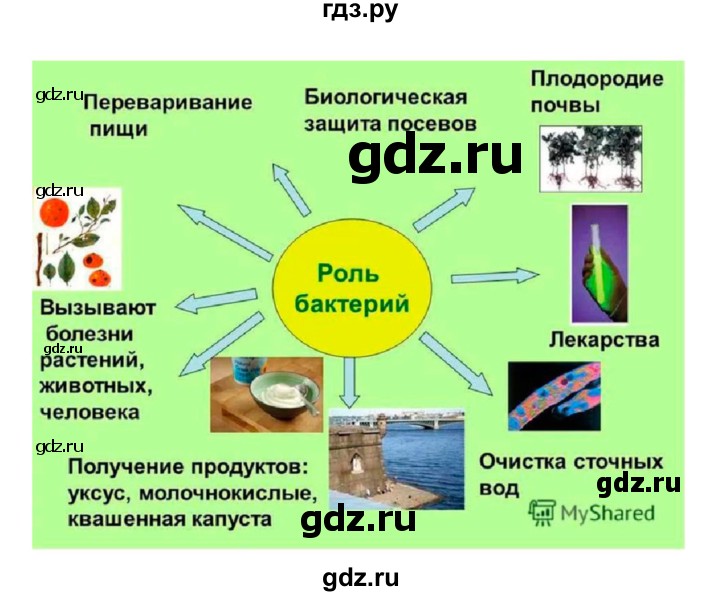 ГДЗ по биологии 7 класс Пономарева   параграф - 50, Решебник 2