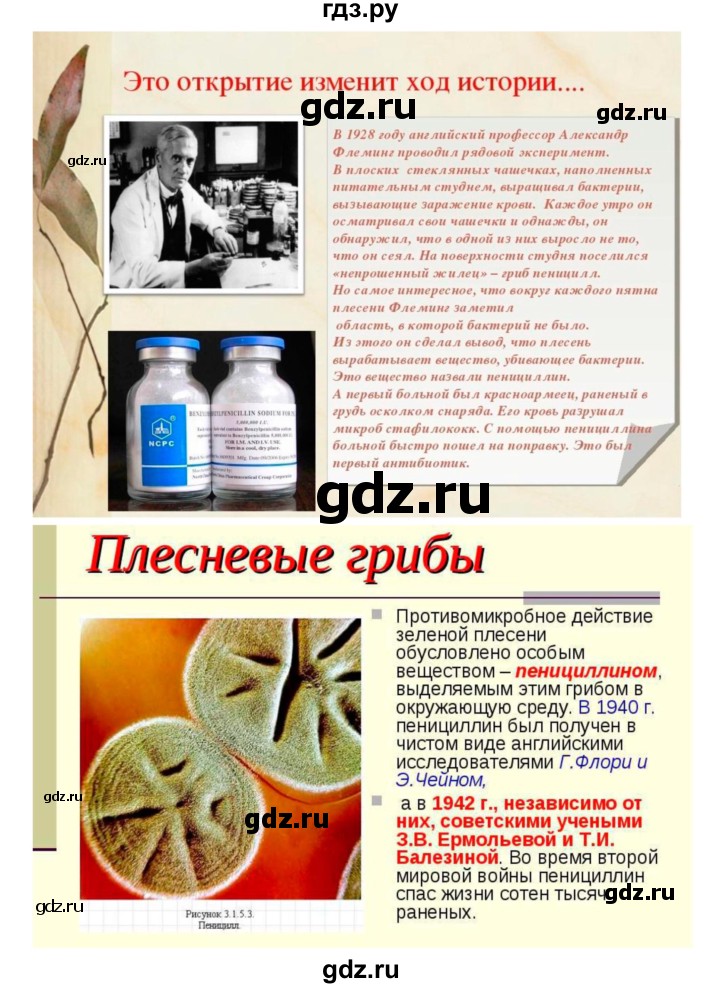 ГДЗ по биологии 7 класс Пономарева   параграф - 51, Решебник 2