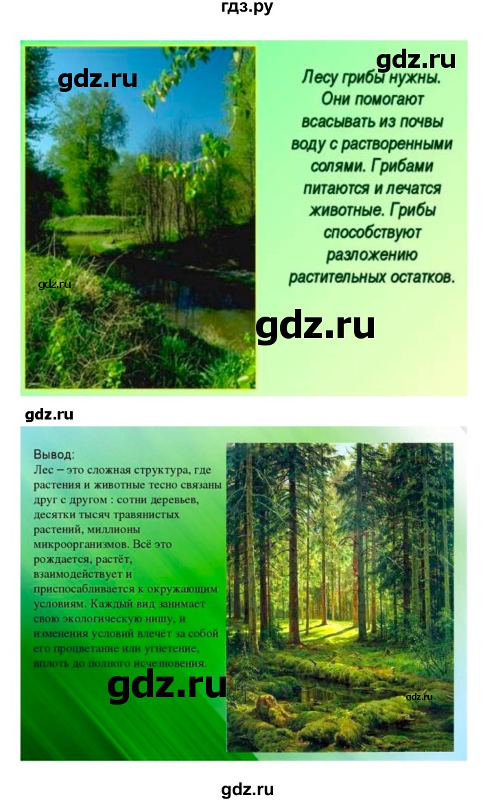 ГДЗ по биологии 7 класс Пономарева   параграф - 54, Решебник 2