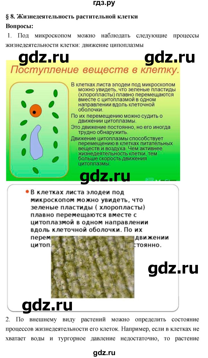 ГДЗ по биологии 7 класс Пономарева   параграф - 8, Решебник 2