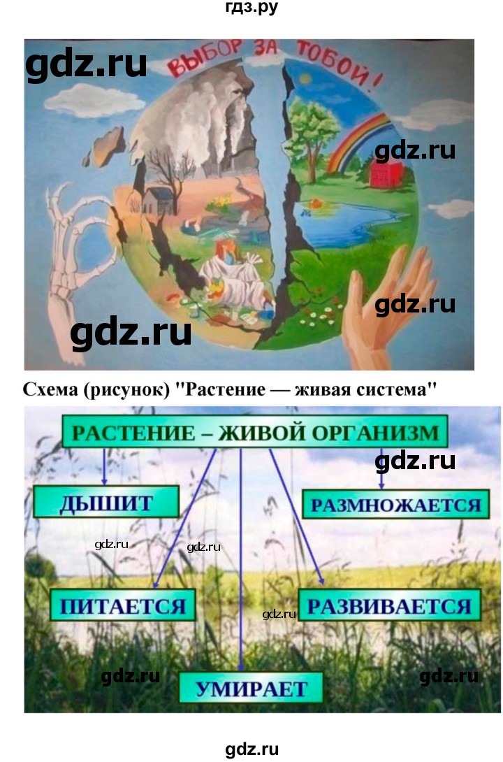 ГДЗ по биологии 7 класс Пономарева   итог главы - 1, Решебник 2