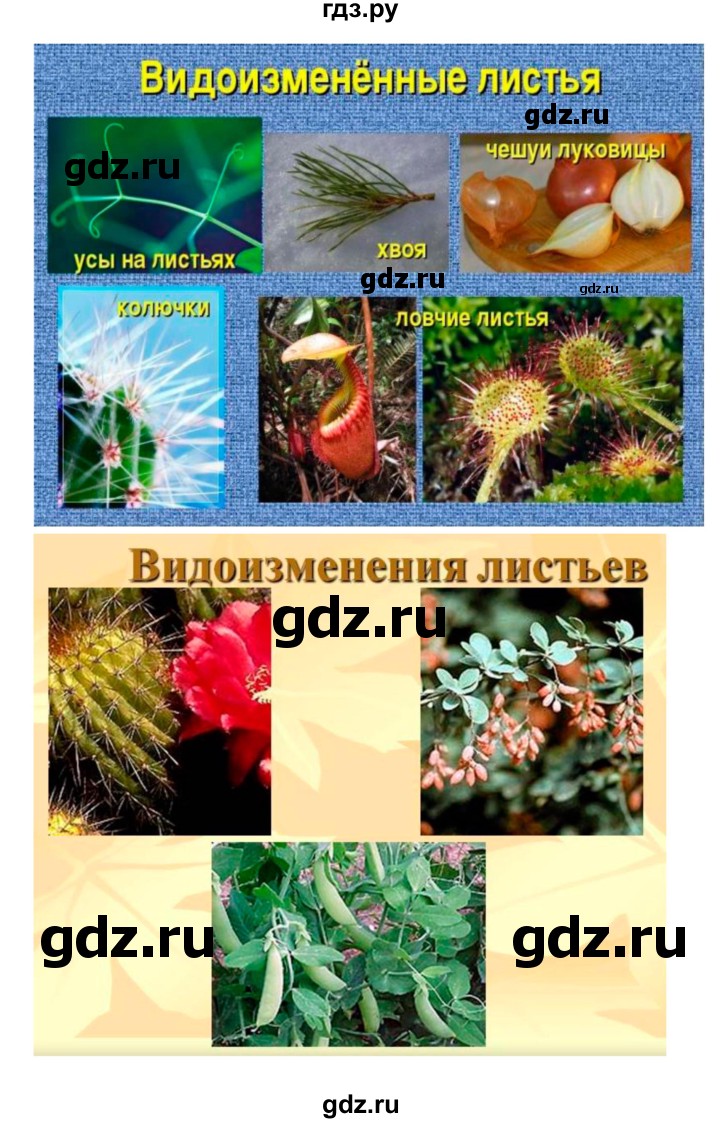 ГДЗ по биологии 7 класс Пономарева   итог главы - 3, Решебник 2