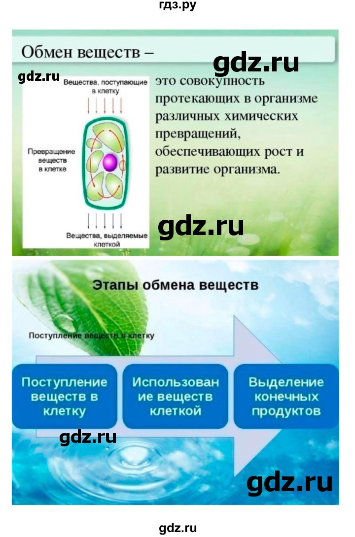 ГДЗ по биологии 7 класс Пономарева   итог главы - 4, Решебник 2