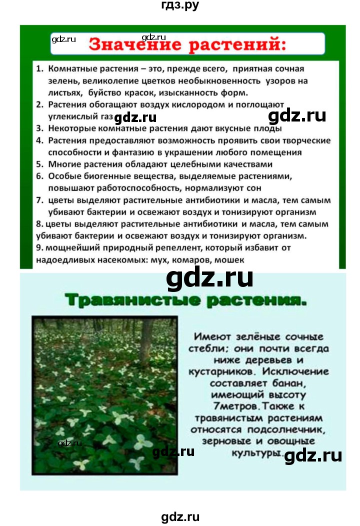 ГДЗ по биологии 7 класс Пономарева   итог главы - 5, Решебник 2