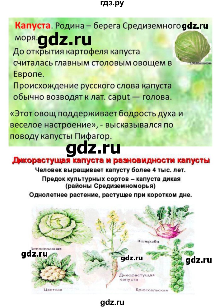 ГДЗ по биологии 7 класс Пономарева   итог главы - 6, Решебник 2