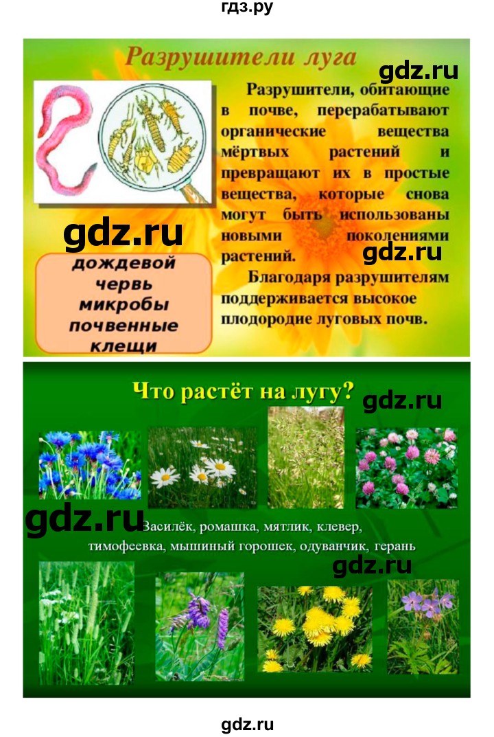 ГДЗ по биологии 7 класс Пономарева   итог главы - 9, Решебник 2