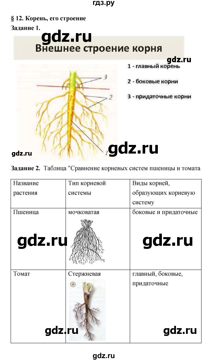 ГДЗ по биологии 7 класс Пономарева рабочая тетрадь  параграф - 12, Решебник