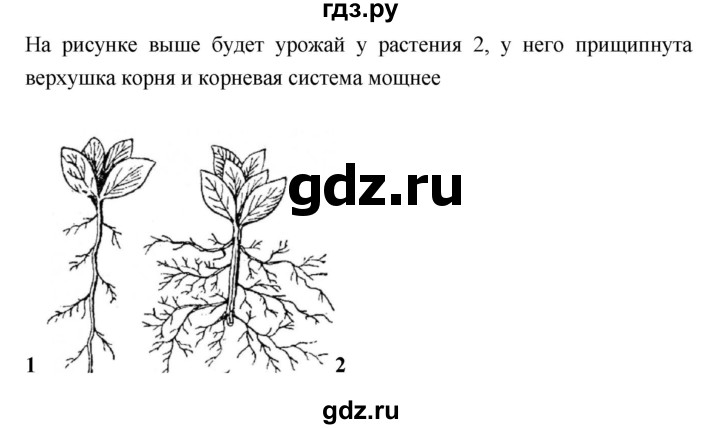 ГДЗ по биологии 7 класс Пономарева рабочая тетрадь  параграф - 13, Решебник