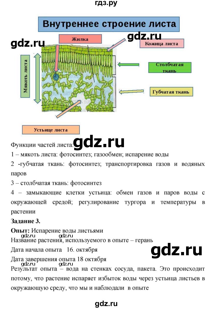 ГДЗ по биологии 7 класс Пономарева рабочая тетрадь  параграф - 17, Решебник