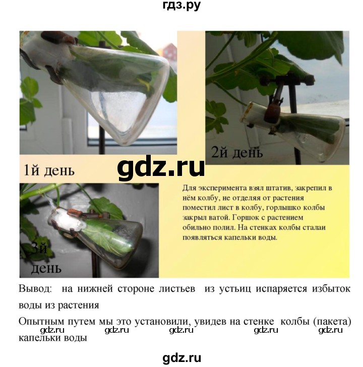 ГДЗ по биологии 7 класс Пономарева рабочая тетрадь  параграф - 17, Решебник