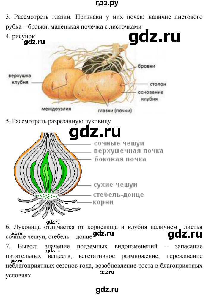 ГДЗ по биологии 7 класс Пономарева рабочая тетрадь  параграф - 20, Решебник