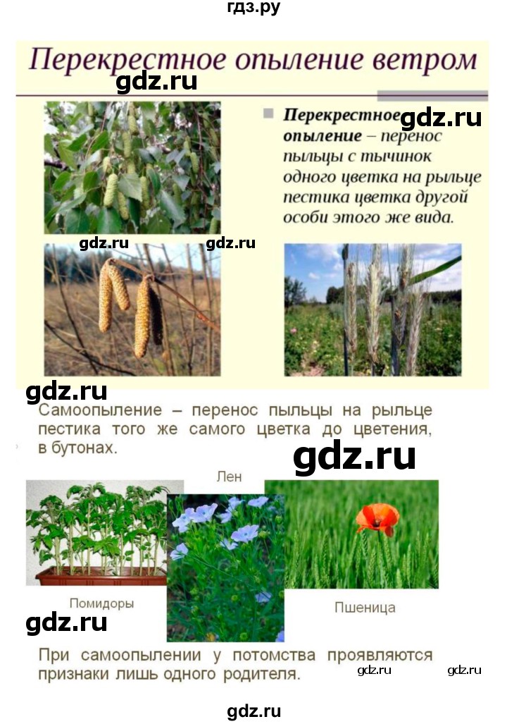 ГДЗ по биологии 7 класс Пономарева рабочая тетрадь  параграф - 22, Решебник