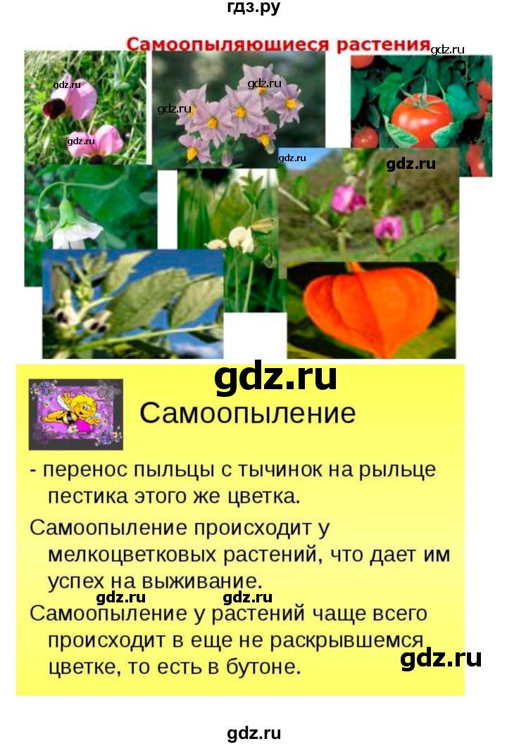 ГДЗ по биологии 7 класс Пономарева рабочая тетрадь  параграф - 22, Решебник