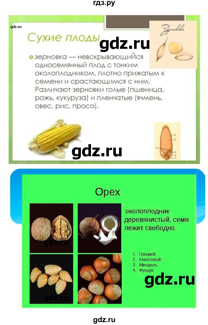 ГДЗ по биологии 7 класс Пономарева рабочая тетрадь  параграф - 23, Решебник