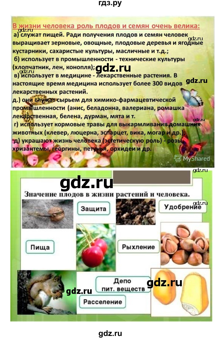 ГДЗ по биологии 7 класс Пономарева рабочая тетрадь  параграф - 23, Решебник