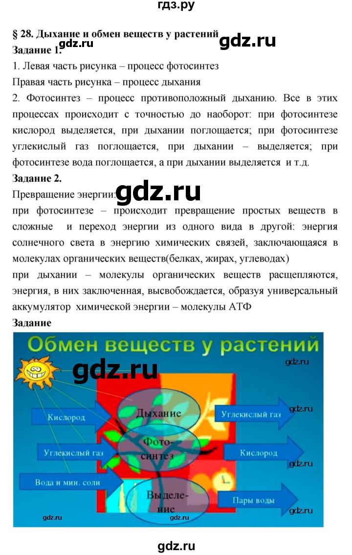 ГДЗ по биологии 7 класс Пономарева рабочая тетрадь  параграф - 28, Решебник